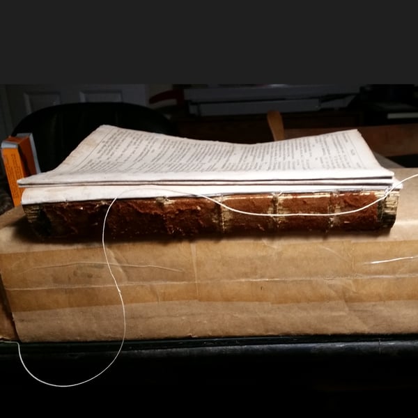 book repair restoration: leather bound bible before