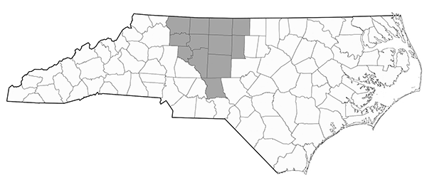 North-Carolina-Triad