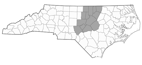 North-Carolina-Triangle
